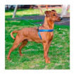 Imagen de Arnes azul y animalitos 42-50cm