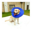 Imagen de Collar Isabelino Para Mascotas Talle M 25cm Azul