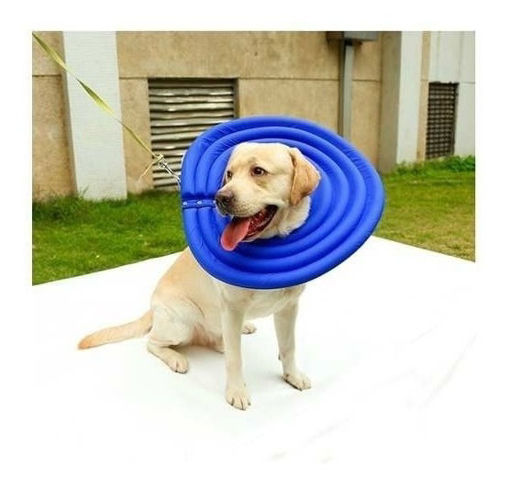 Imagen de Collar Isabelino Para Mascotas Talle M 25cm Azul