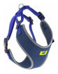 Imagen de Arnes Nikita S azul 24-31x30-41cm