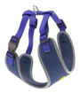Imagen de Arnes Nikita S azul 24-31x30-41cm