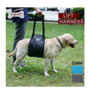 Imagen de Arnes para caderas DogLemi S