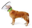 Imagen de Collar isabelino extra grande XL
