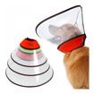Imagen de Collar isabelino extra grande XL