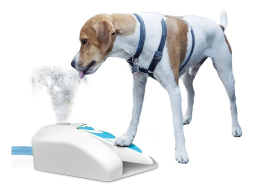 Imagen de Fuente de agua Afp