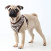 Imagen de Arnes Puppia animal print marron L