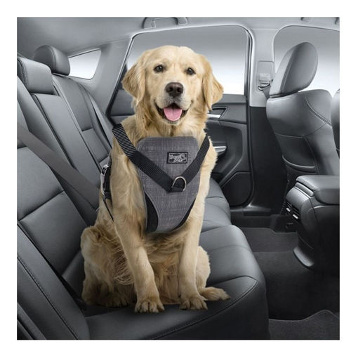 Imagen de Arnes para perro XL