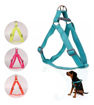 Imagen de Arnes de neon DogLemi M
