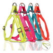 Imagen de Arnes de neon DogLemi M