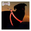 Imagen de Arnes de neon DogLemi M