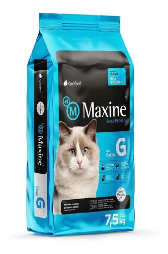 Imagen de Maxine gatos 7,5K