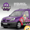 Imagen de Arnes New Travel Car XL