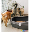 Imagen de Sanitario Gatos WC Furba Medio Gris Pardo