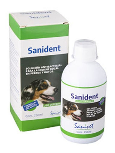 Imagen de Sanident 250ml
