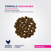 Imagen de Eukanuba puppy large breed 15kg