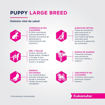 Imagen de Eukanuba puppy large breed 15kg