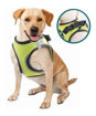 Imagen de Arnes de seguridad perro XS