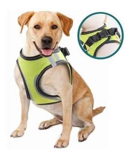 Imagen de Arnes de seguridad perro XS