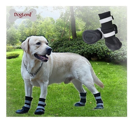 Imagen de Botas DogLemi M