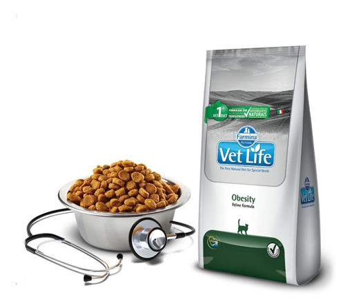 Imagen de VET NAT FELINE OBESITY 2KG