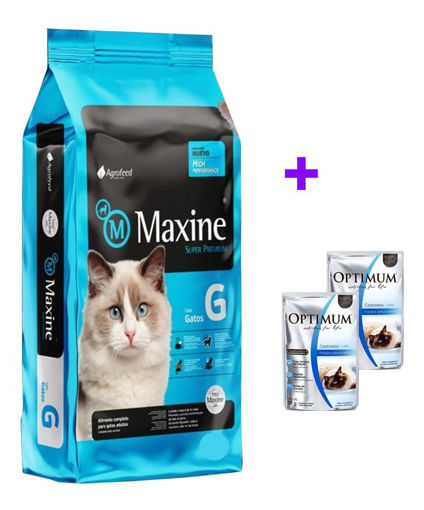 Imagen de Maxine gatos 21K