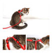 Imagen de Arnes para gato con correa de 1,2mts