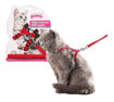 Imagen de Arnes para gato con correa de 1,2mts