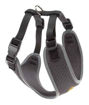 Imagen de Arnes Nikita S gris 24-31x30-41cm