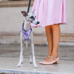 Imagen de Arnes Nikita Fashion M camuflado violeta 30-43x38-55cm