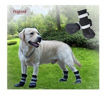 Imagen de Botas DogLemi S