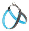 Imagen de Arnes celeste fluo 69-77cm