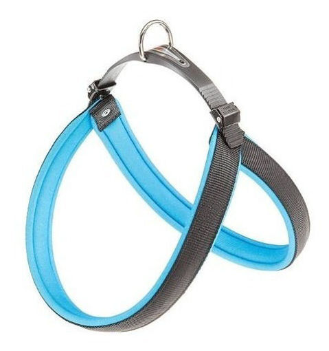 Imagen de Arnes celeste fluo 69-77cm
