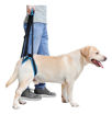 Imagen de Arnes De Elevacion Patas Traseras M 35 A 45cm