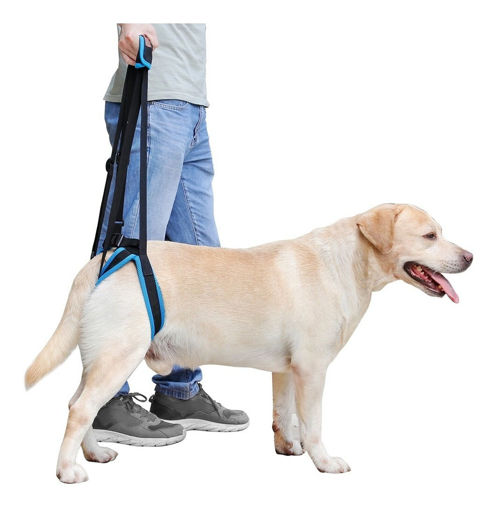 Imagen de Arnes De Elevacion Patas Traseras M 35 A 45cm
