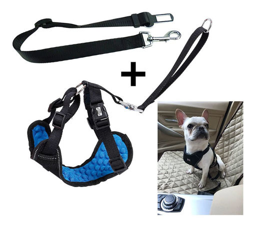 Imagen de Arnes y cinturon de seguridad para perros M