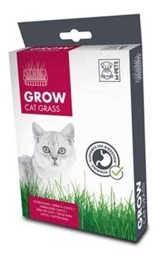 Imagen de Cesped para gatos Mpets