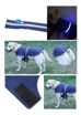 Imagen de Capa impemeable luces led M DogLemi