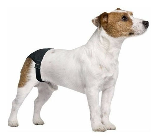 Imagen de Bombacha para celo M