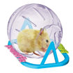 Imagen de Esfera Hamster Ball Small 13cm de diametro
