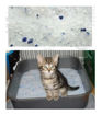 Imagen de Silica Kitty Sand 7,6L