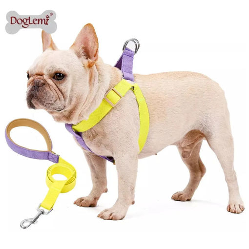 Imagen de Arnes + Correa fashion color Todos los Talles