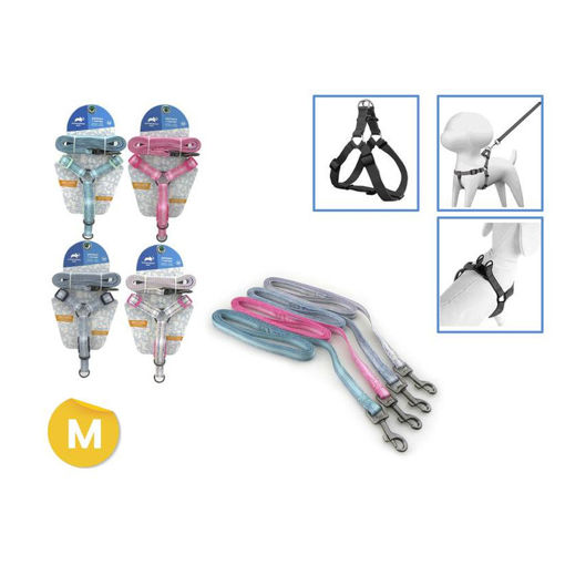 Imagen de Conjunto arnes y correa Talle M celeste