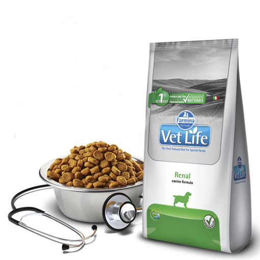 Imagen de VET NAT CAN RENAL 10KG