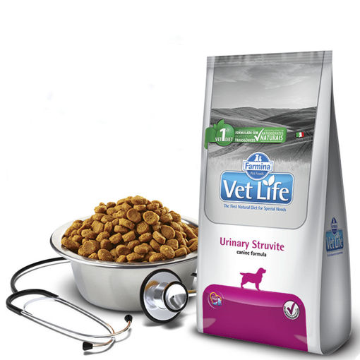 Imagen de VET NAT CAN URINARY STRUVITE 10.1KG