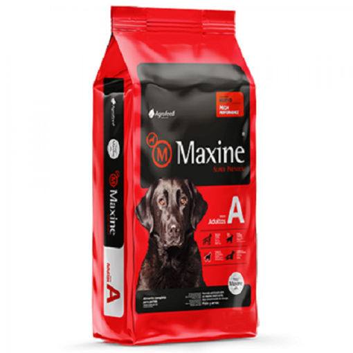 Imagen de Maxine adultos 21K