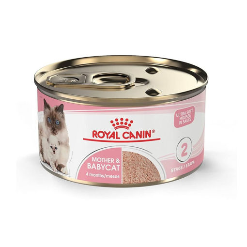 Imagen de Royal  Canin Gato mother and babycats 195grs.