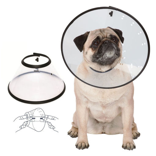 Imagen de Collar isabelino Mpets talle L