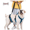 Imagen de Elevador para perros de cuerpo completo M