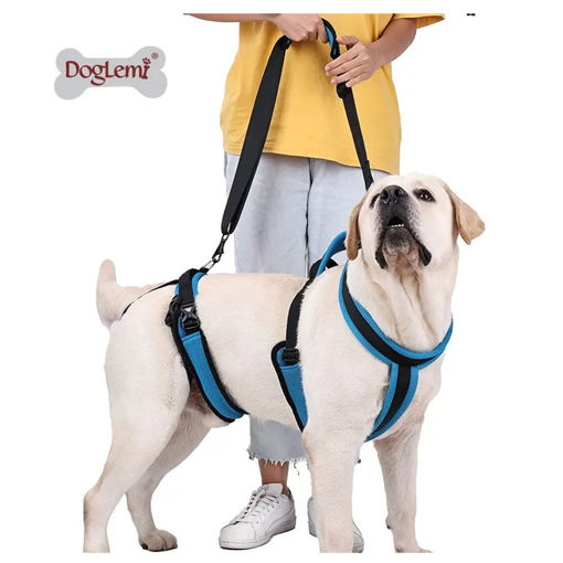Imagen de Elevador para perros de cuerpo completo M