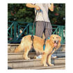 Imagen de Elevador para perros de cuerpo completo M